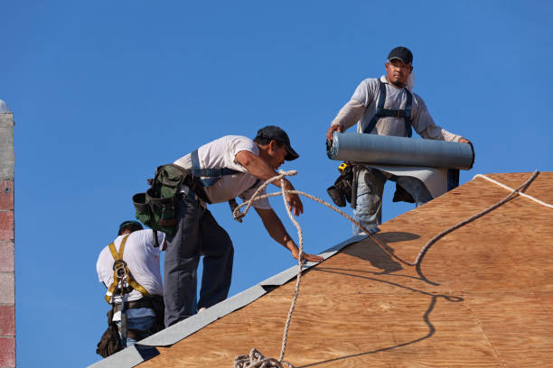 Best Roof Leak Repair  in Cadillac, MI