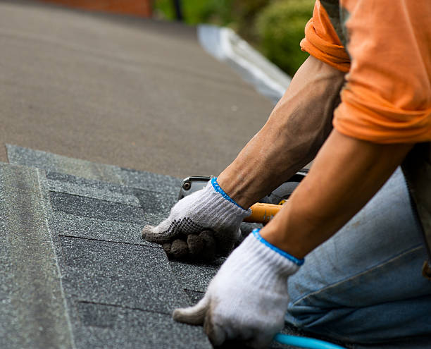Best Gutter Installation and Roofing  in Cadillac, MI